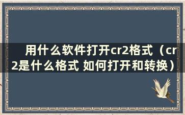 用什么软件打开cr2格式（cr2是什么格式 如何打开和转换）